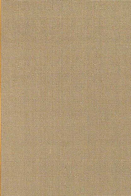 Chandra Bay bayora Tan & Ivory Bordered Area Rug