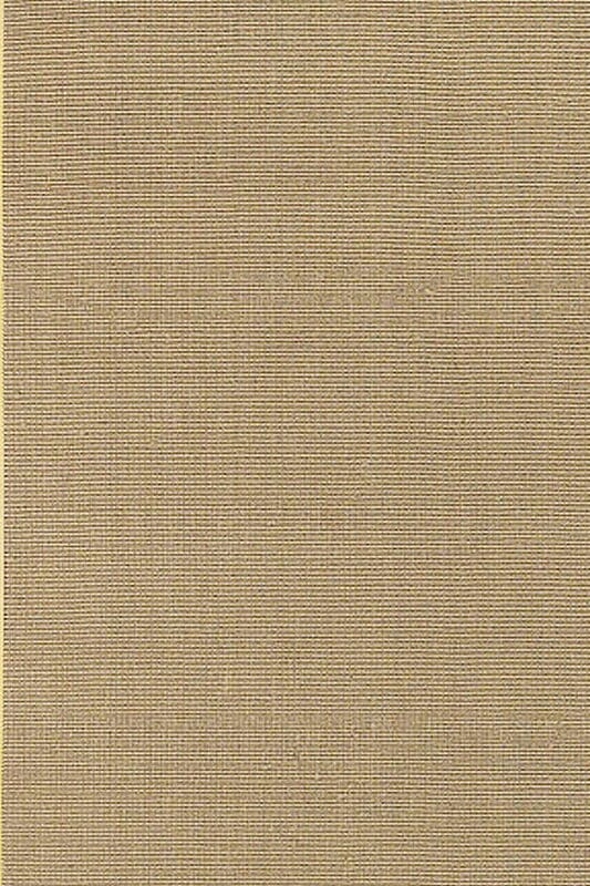 Chandra Bay bayyel Tan & Ivory Bordered Area Rug