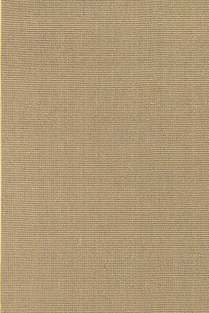 Chandra Bay bayyel Tan & Ivory Bordered Area Rug