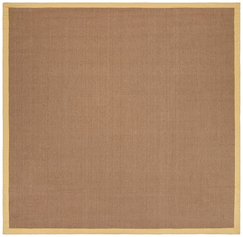 Chandra Bay bayyel Tan & Ivory Bordered Area Rug