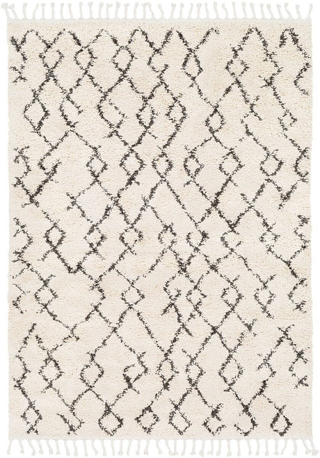 Surya Berber Shag Bbe-2301 Charcoal, Beige Rugs.