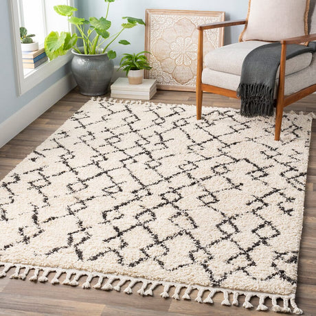 Surya Berber Shag Bbe-2301 Charcoal, Beige Rugs.