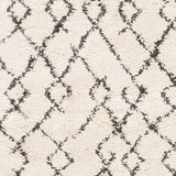 Surya Berber Shag Bbe-2301 Charcoal, Beige Rugs.