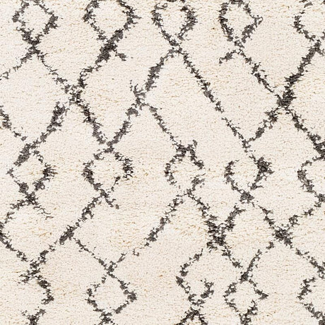 Surya Berber Shag Bbe-2301 Charcoal, Beige Rugs.