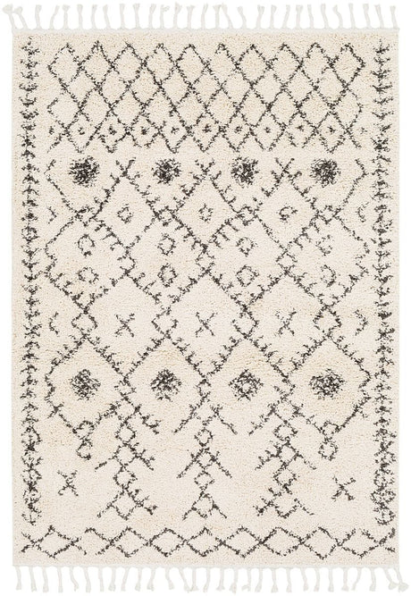 Surya Berber Shag Bbe-2302 Charcoal, Beige Rugs.