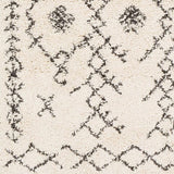 Surya Berber Shag Bbe-2302 Charcoal, Beige Rugs.