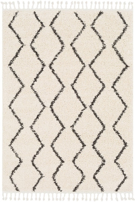 Surya Berber Shag Bbe-2303 Charcoal, Beige Rugs.
