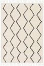 Surya Berber Shag Bbe-2303 Charcoal, Beige Rugs.