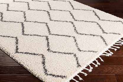 Surya Berber Shag Bbe-2303 Charcoal, Beige Moroccan Area Rug