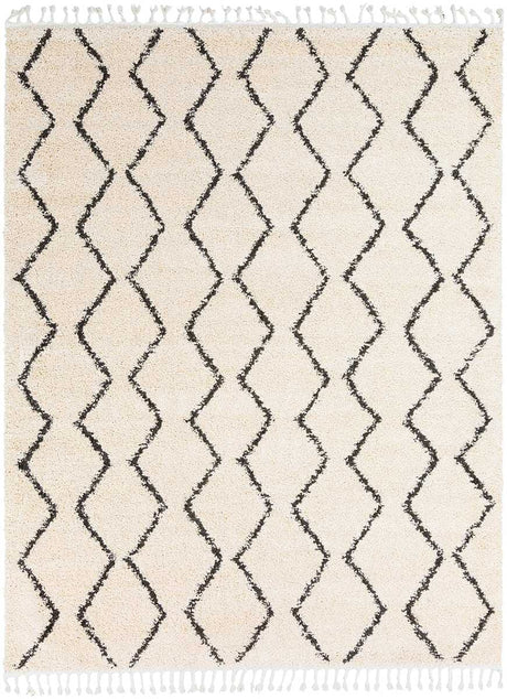Surya Berber Shag Bbe-2303 Charcoal, Beige Rugs.
