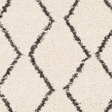 Surya Berber Shag Bbe-2303 Charcoal, Beige Rugs.