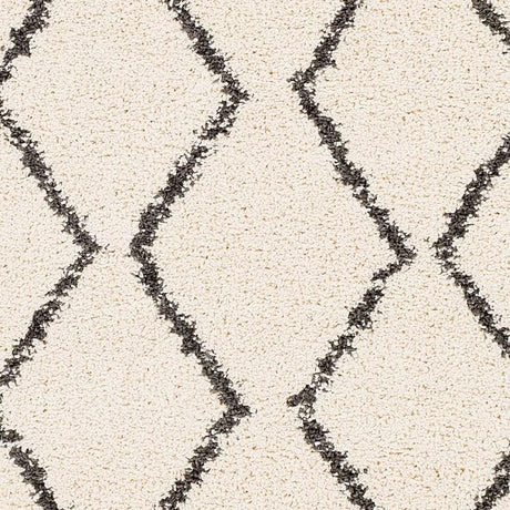 Surya Berber Shag Bbe-2303 Charcoal, Beige Rugs.
