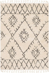 Surya Berber Shag Bbe-2305 Charcoal, Beige Rugs.