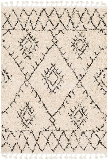 Surya Berber Shag Bbe-2305 Charcoal, Beige Rugs.
