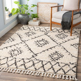 Surya Berber Shag Bbe-2305 Charcoal, Beige Rugs.
