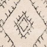 Surya Berber Shag Bbe-2305 Charcoal, Beige Rugs.