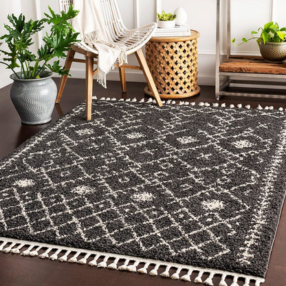 Surya Berber Shag Bbe-2308 Charcoal, Beige Moroccan Area Rug