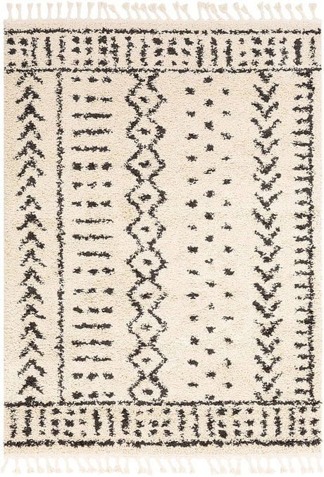 Surya Berber Shag Bbe-2311 Charcoal, Beige Rugs.