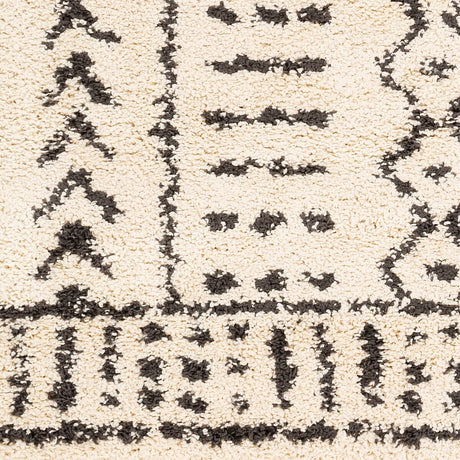 Surya Berber Shag Bbe-2311 Charcoal, Beige Rugs.