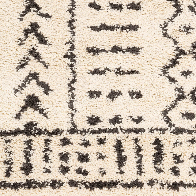 Surya Berber Shag Bbe-2311 Charcoal, Beige Rugs.