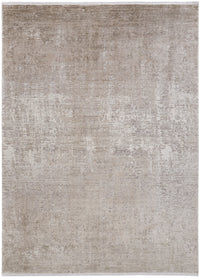 Feizy Cadiz 39Fwf Biege/Gray Area Rug