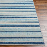 Surya Bodrum Bdm-2341 Blue Rug.
