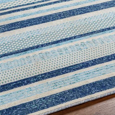 Surya Bodrum Bdm-2341 Blue Rug.