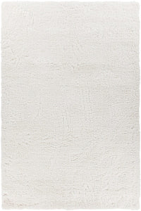 Chandra Bella Bel-51400 Ivory Shag Area Rug