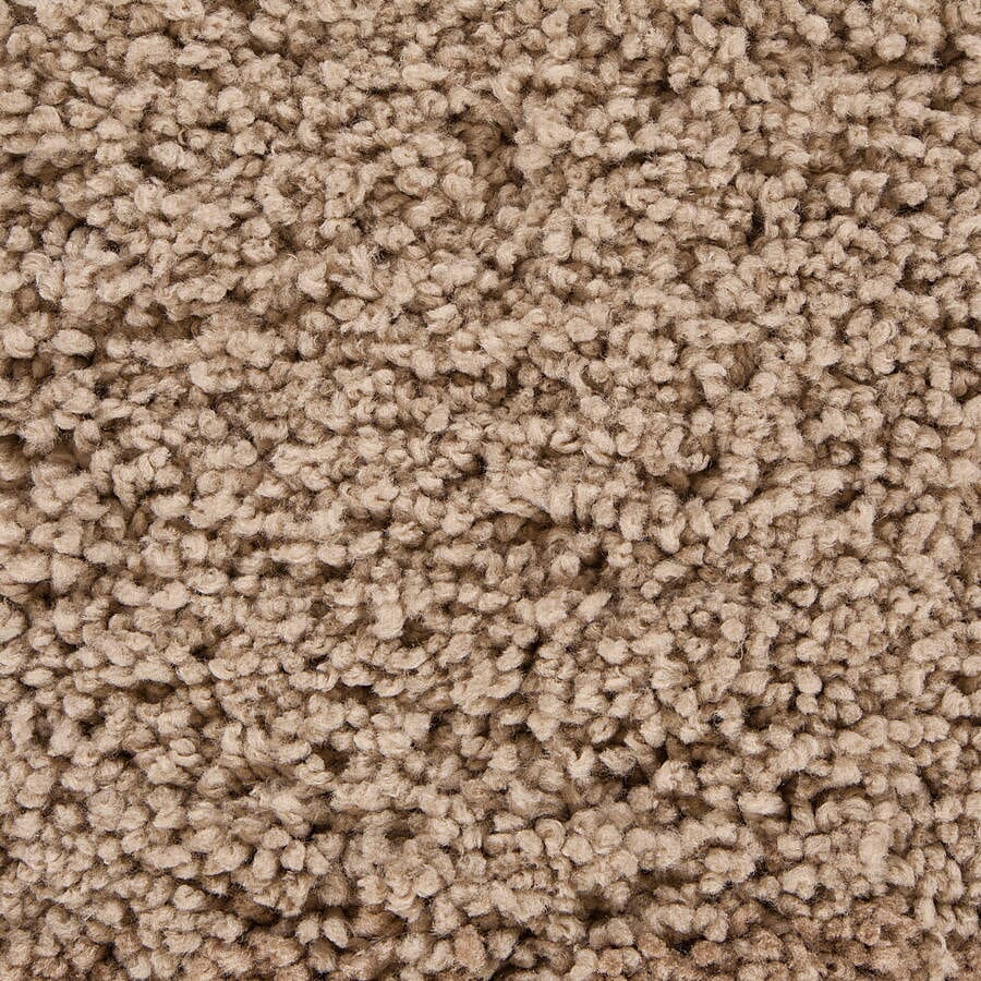 Chandra Bella Bel-51401 Tan Shag Area Rug