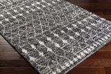 Surya Birch Bhc-2301 Charcoal, Medium Gray, Taupe, Light Gray Rugs.