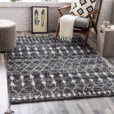 Surya Birch Bhc-2301 Charcoal, Medium Gray, Taupe, Light Gray Rugs.