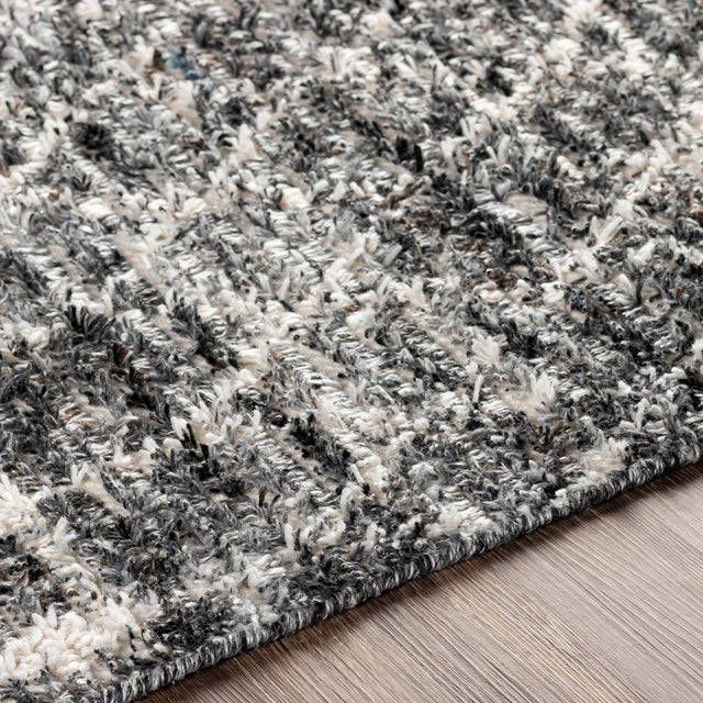 Surya Birch Bhc-2301 Charcoal, Medium Gray, Taupe, Light Gray Rugs.