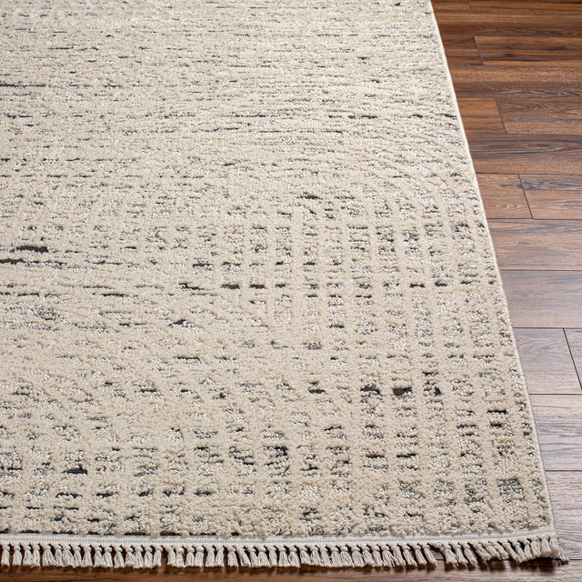 Surya Berlin Blr-2303 Beige Rug.