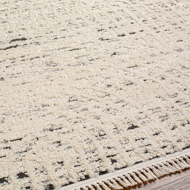 Surya Berlin Blr-2303 Beige Rug.