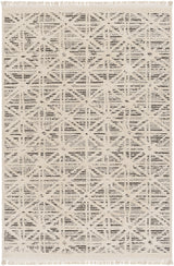 Surya Berlin Blr-2304 Beige Rug.