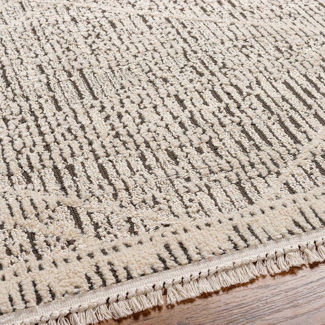 Surya Berlin Blr-2306 Beige Rug.