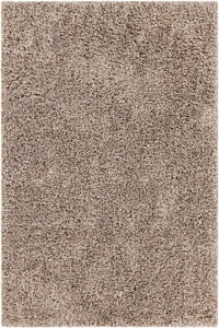 Chandra Bolero Bol-51301 Tan Shag Area Rug