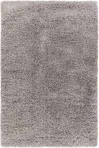 Chandra Bolero Bol-51303 Beige Shag Area Rug