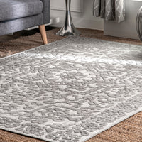 Nuloom Celestial Nce2629B Gray Area Rug