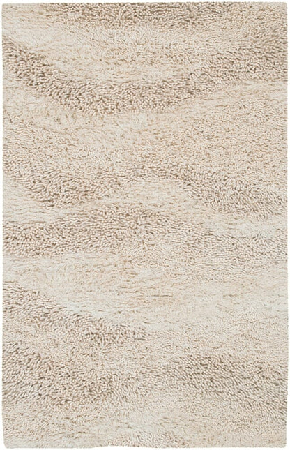 Surya Berkley Brk-3300 Cream Shag Area Rug