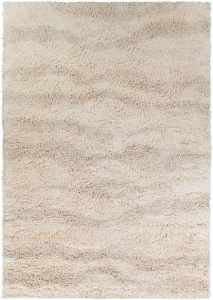 Surya Berkley Brk-3300 Cream Shag Area Rug