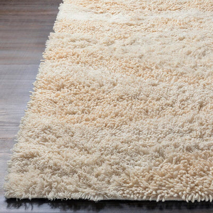 Surya Berkley Brk-3300 Cream Shag Area Rug