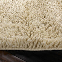 Surya Berkley Brk-3300 Cream Shag Area Rug