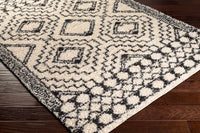 Surya Beni Shag Bsh-2300 Charcoal, Cream Area Rug