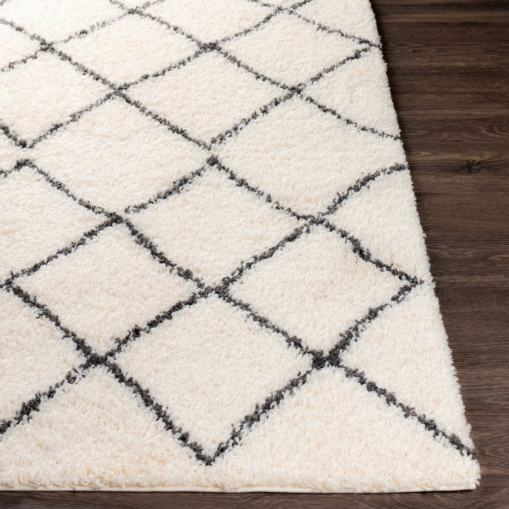 Surya Beni Shag Bsh-2301 Charcoal, Cream Area Rug