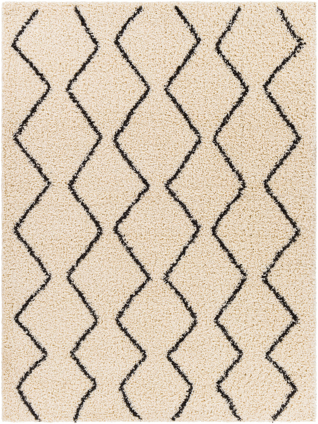 Surya Beni Shag Bsh-2302 Charcoal, Cream Rugs.