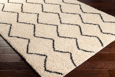Surya Beni Shag Bsh-2302 Charcoal, Cream Rugs.