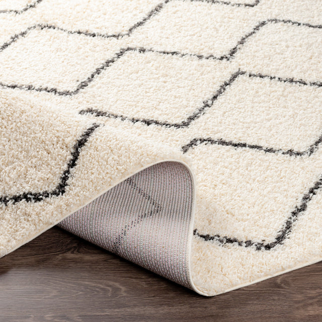 Surya Beni Shag Bsh-2302 Charcoal, Cream Rugs.