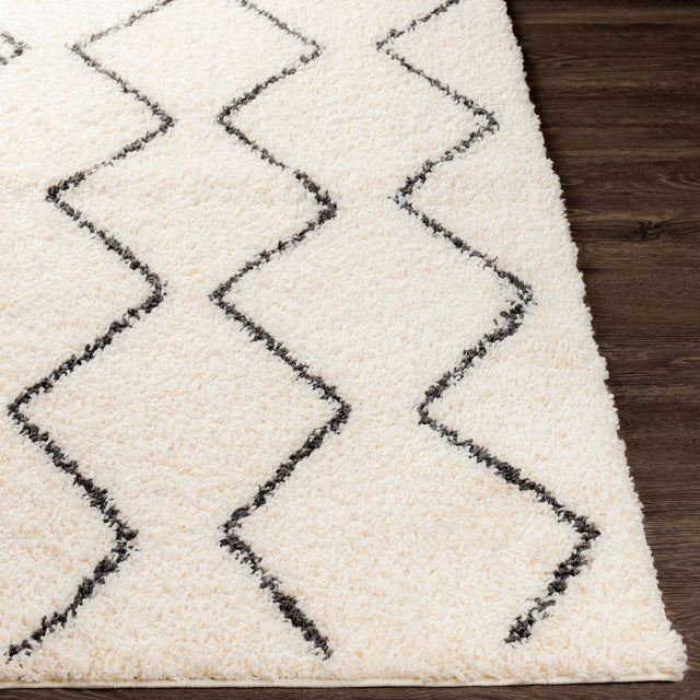 Surya Beni Shag Bsh-2302 Charcoal, Cream Rugs.