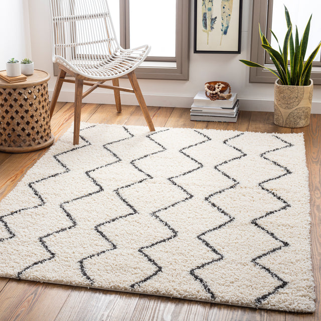 Surya Beni Shag Bsh-2302 Charcoal, Cream Rugs.